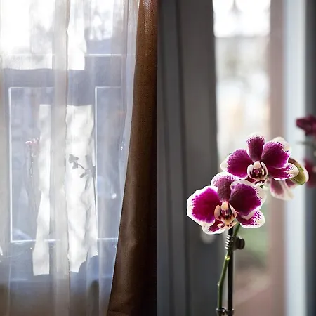 トゥー ホイールス リガ