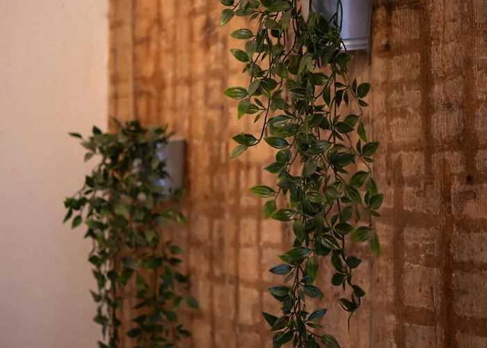 Two Wheels * Рига